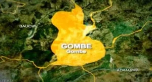 Gombe-1